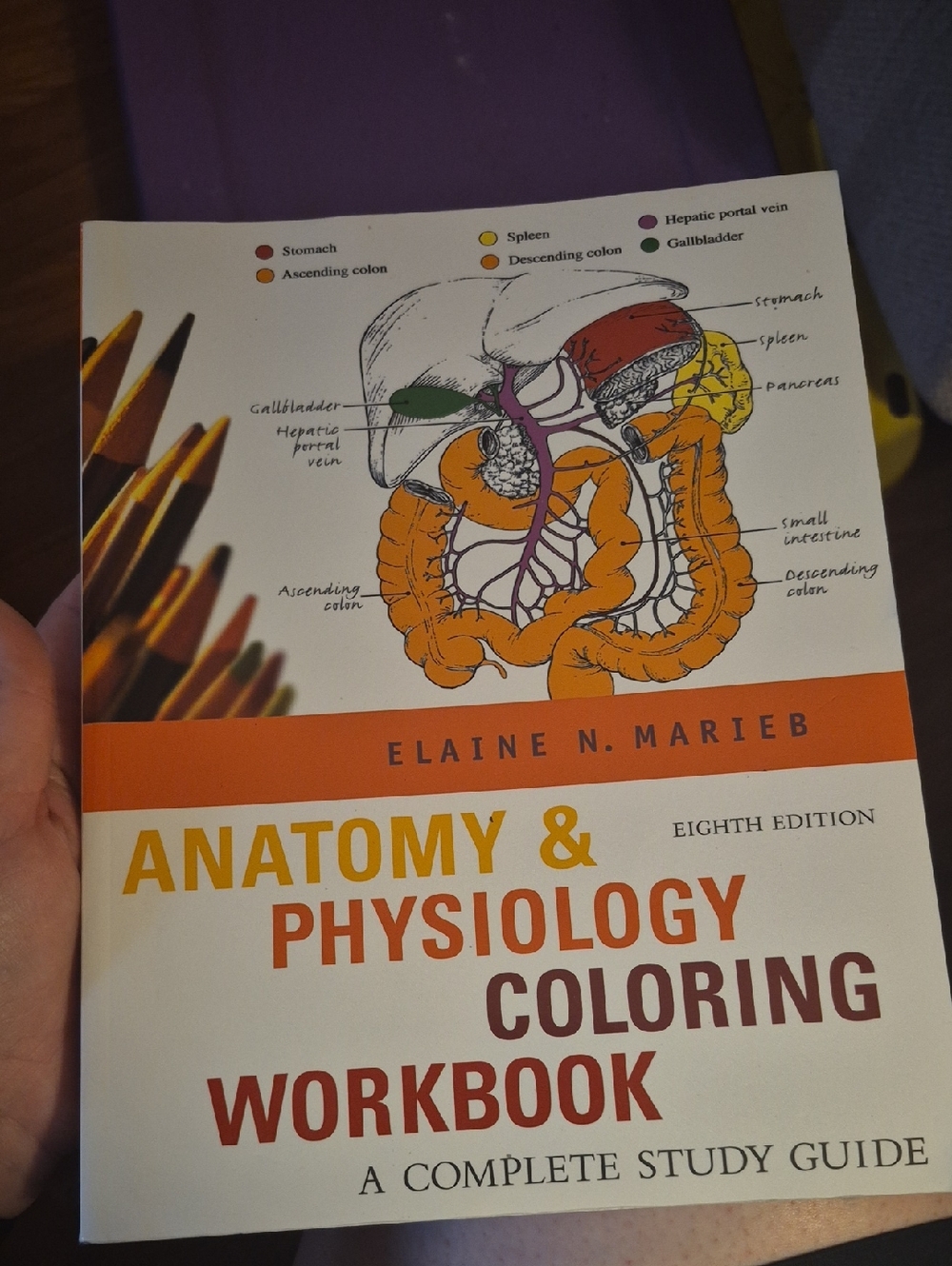 Anatomy & Physiology Coloring Workbook by Elaine N. Marieb - White/Orange Cover